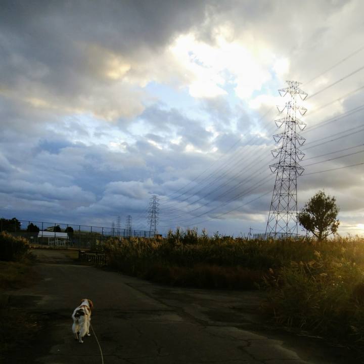 Db8b75c0 c107 4d9e 8b56 043741770606 1542876129782