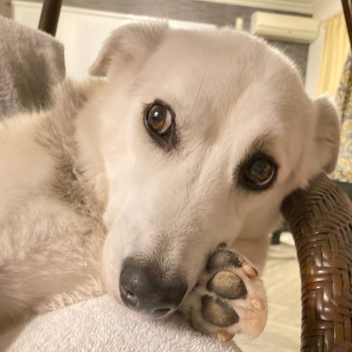 Db8b9efb a595 4bc3 8e10 217415975a98 1721539122611