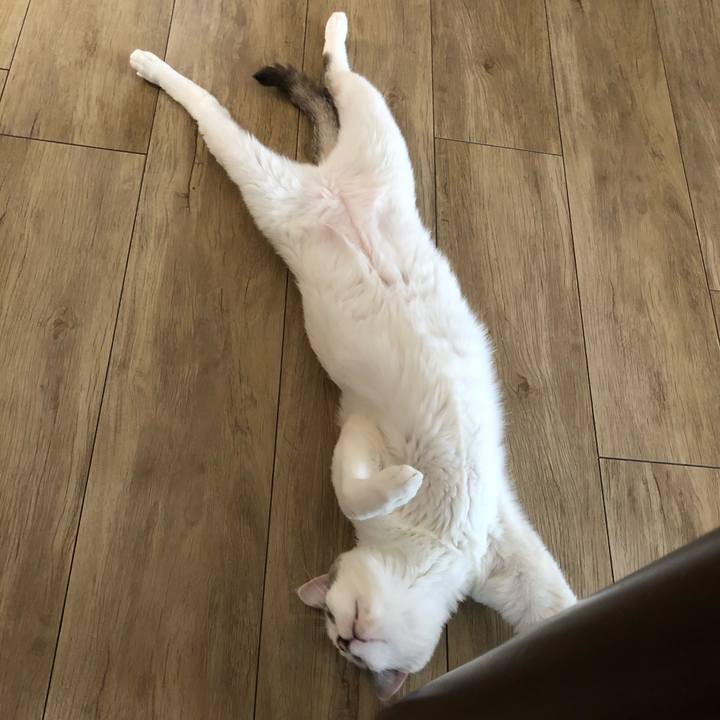 Db8bb552 3d24 4b26 ad45 70477363a049 1592965390094