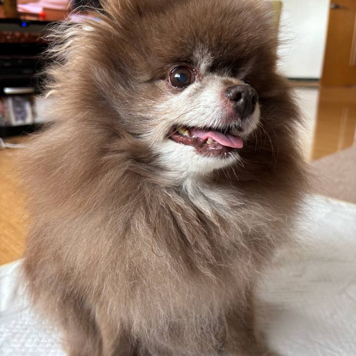 Db8bc750 6607 48f5 8706 73d4ed3d0da7 1749673288191