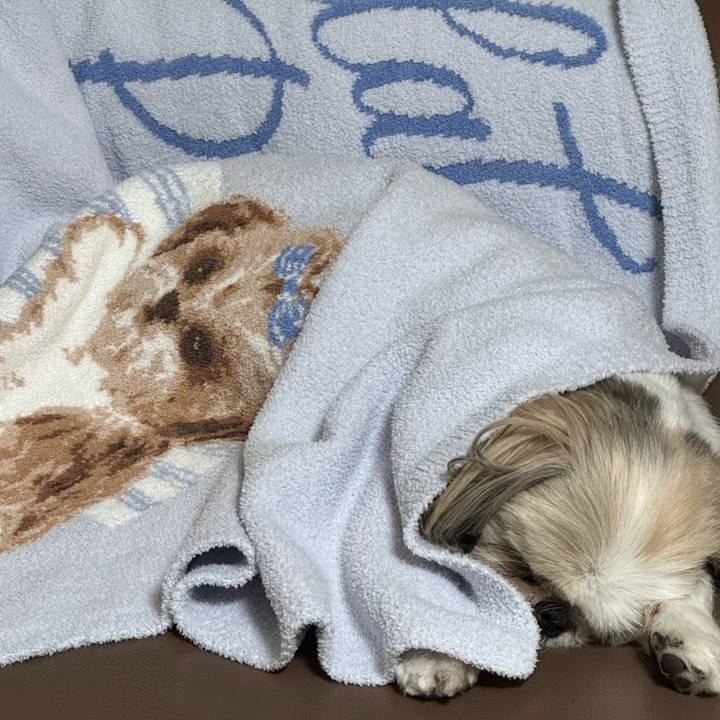 Db8bd19d 5a60 468e b9d8 22d0da2b996d 1759756484938