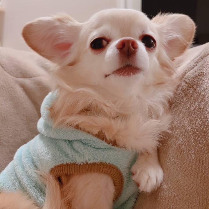 Db8bd80b fc79 4b5d acc0 d16c65504703 1767448905869