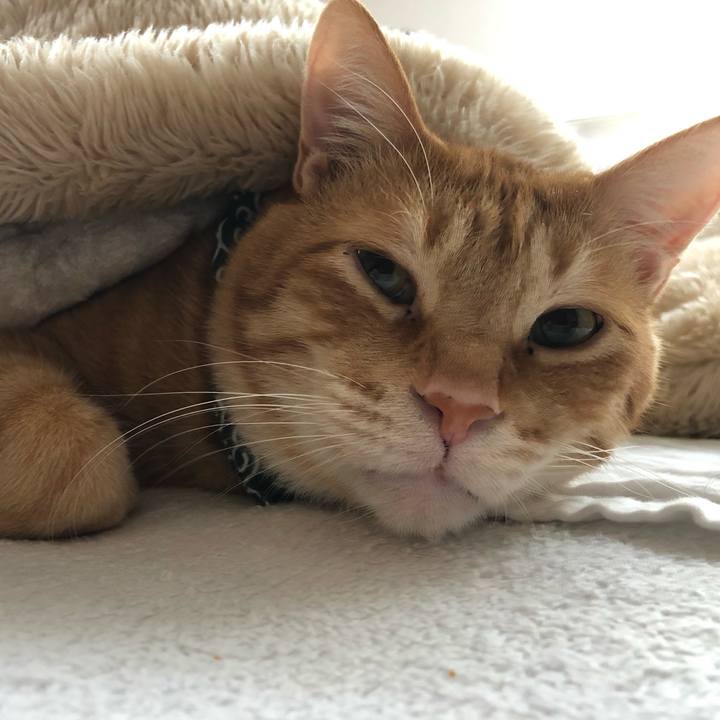 Db8bdc3d f6f9 4dbd 8217 efff935d0b3e 1578715822188