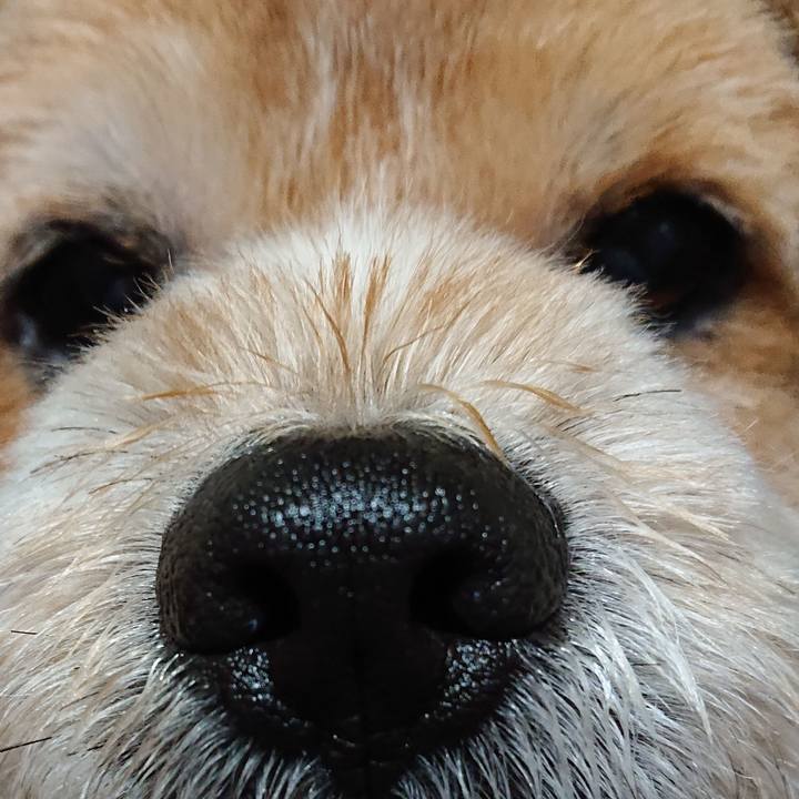 Db8bdfa6 4206 4a75 a00a 306d4283d107 1586083533844