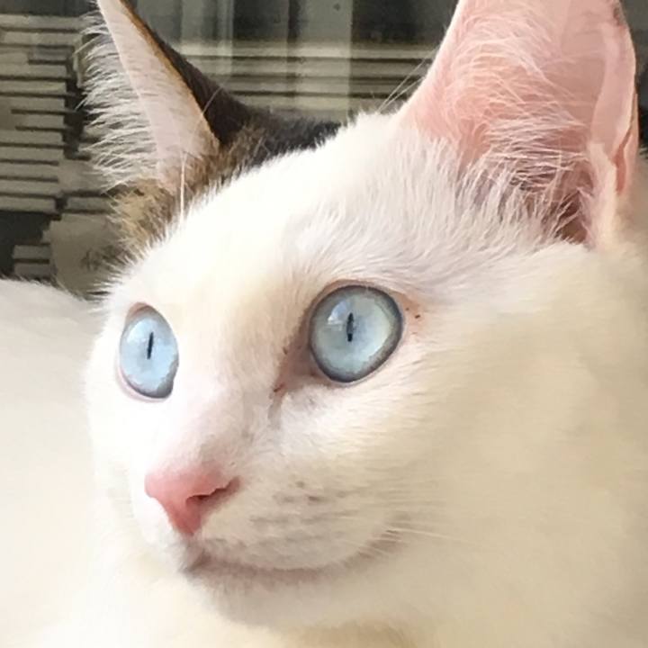 Db8c101a 1dbb 4832 9616 684946aa09b6 1525844134241