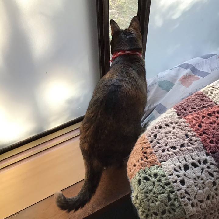 Db8c2667 0b9d 4045 bc07 677cbc07a8ea 1604445000548