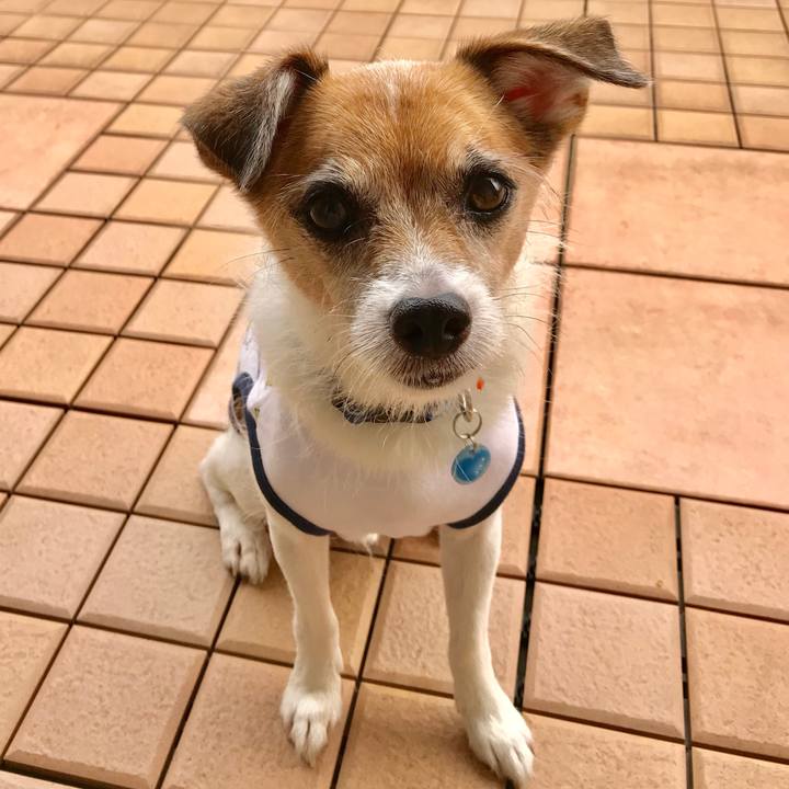 Db8c6ada 56fe 4bef 95a7 eeb40b8b23e5 1567304218943