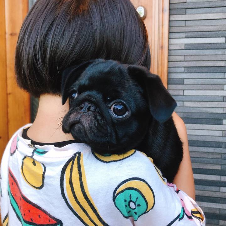 Db8c9793 e3d3 4eb3 aab8 ad8aff1669fb 1590312691485