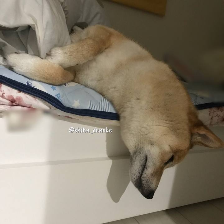 Db8cbbcf 840c 40c6 a8c8 68ca98d5c44a 1528724315789