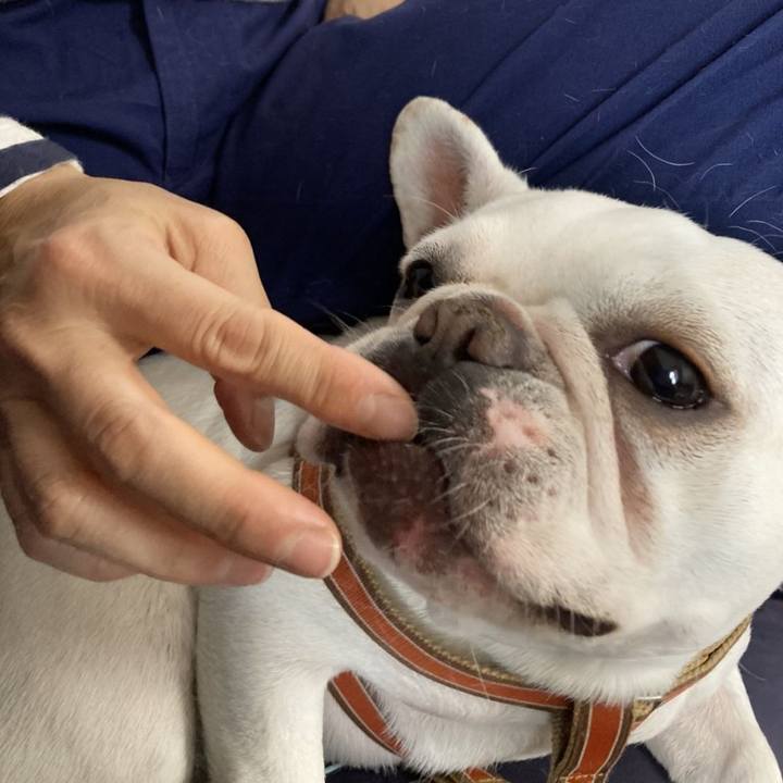 Db8cc644 628b 42ec bf9f 6230600f2bb3 1648692023189