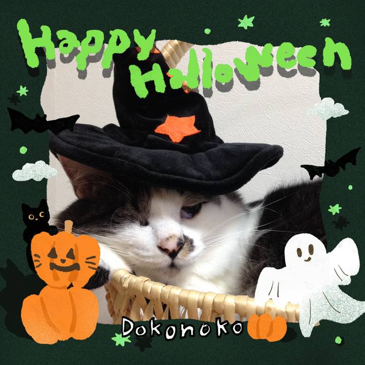 Db8d01a5 282a 470f bc1b a3232d956f58 1729123628227