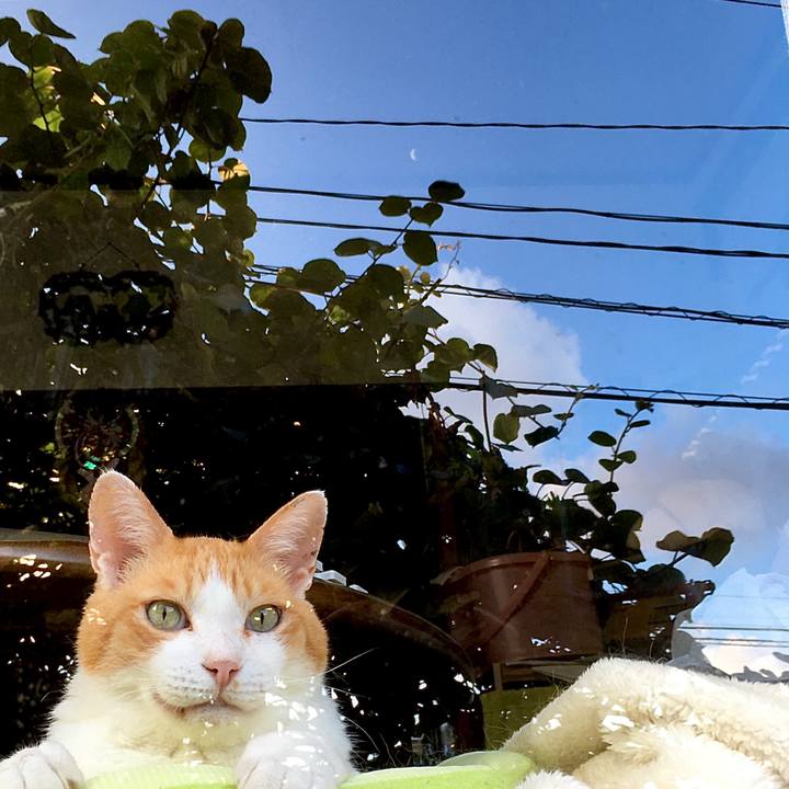 Db8d7e39 ab28 406e 948f 9eabf640add6 1599550142699