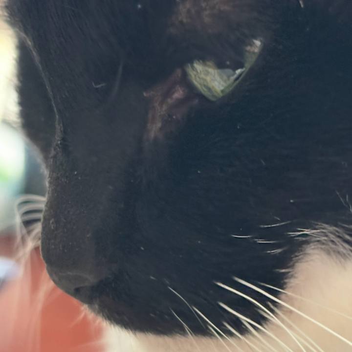 Db8d991b 107d 4677 9363 25cb5e264e87 1762307040316