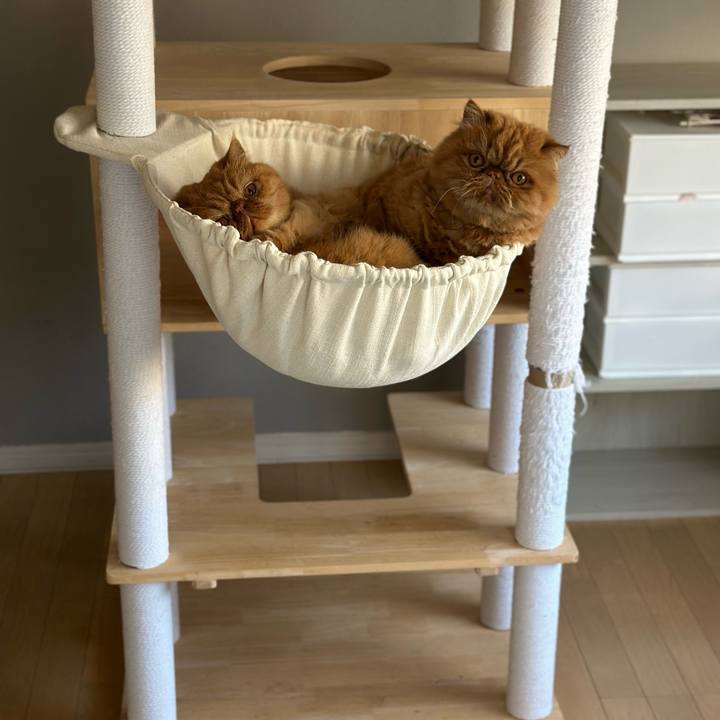 Db8d9a54 3f22 4955 b0c3 e2770362085a 1773453414692