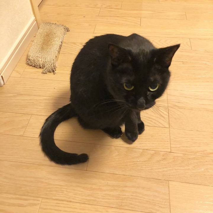 Db8db972 d6ed 49da 85ae 0610fd704864 1581426459553