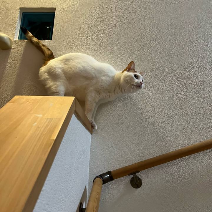 Db8dbf5c 39e4 438f 9641 ea350e7dca5c 1763822881701