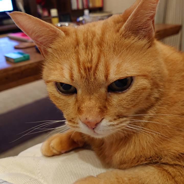 Db8de060 107c 43cb 8ee3 f71ec9352622 1599575320140