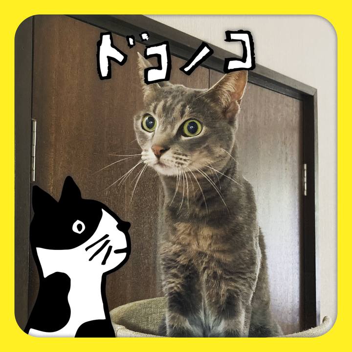 Db8de48b 9e7e 4f0d 87bf 8a8a2b7bbd85 1622895045187