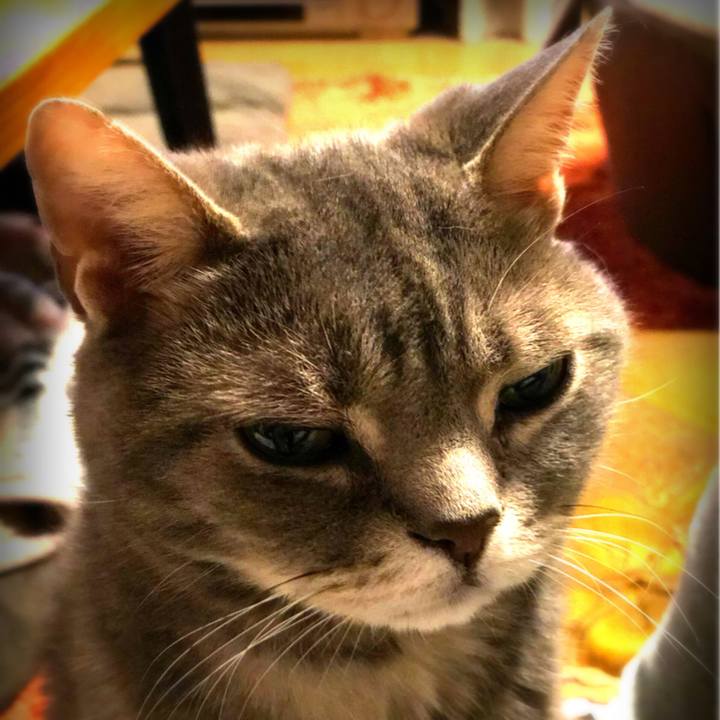 Db8de662 37a7 4cbb abaf d19cba073c61 1526219369222