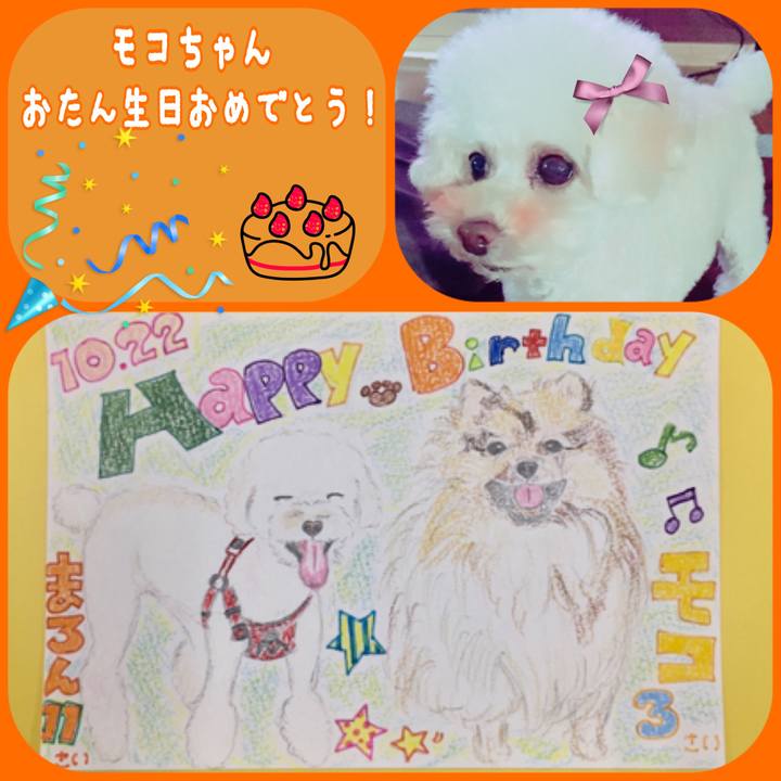 Db8df979 11a5 4e0a 9af4 1168b74bdae1 1508656669542