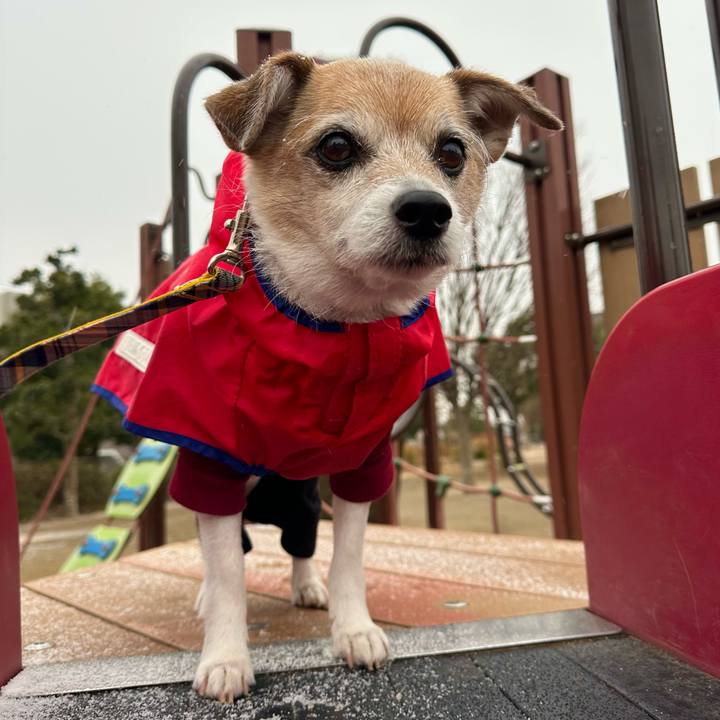 Db8e13ea 6a92 4c7a 8cfa b7f91b046a5f 1675986302862