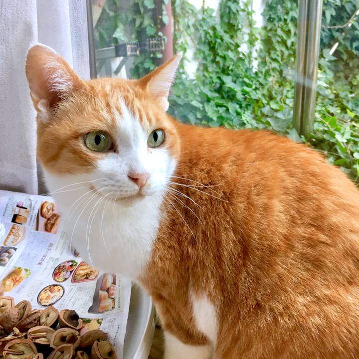 Db8e3a98 fa33 4bbd a93a 029822da3161 1569994536367