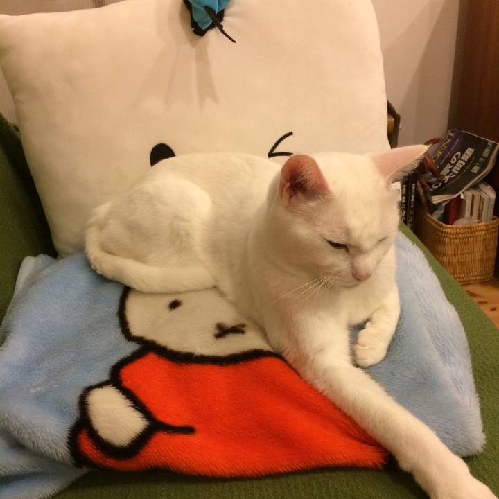 Db8e473d 4d6d 48e2 9f38 eda5b994c0a0 1537525775089