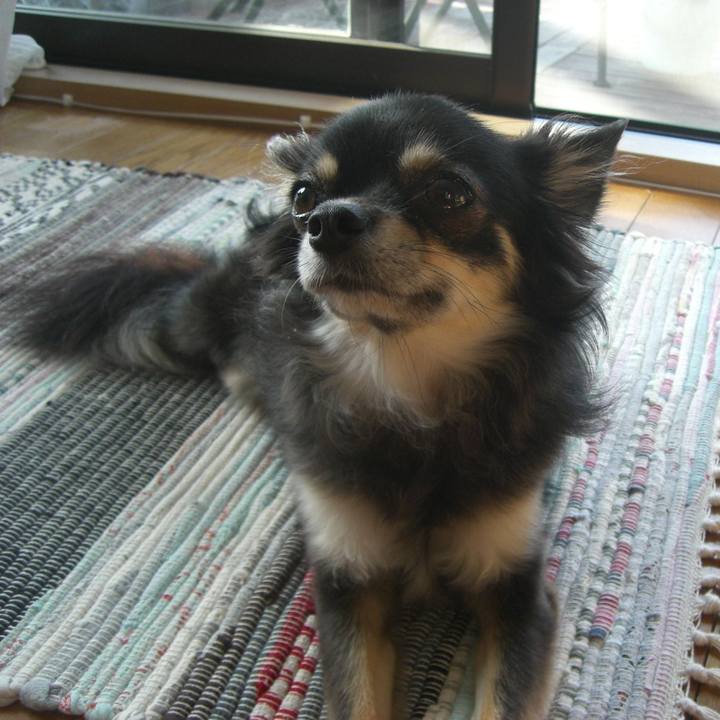 Db8ed40a e9ed 489b ad79 426b9f378eb3 1582372060169