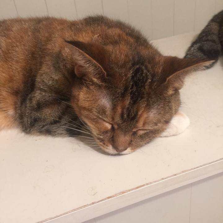 Db8edd89 71f3 435f 933f 1292e6608518 1566148950803