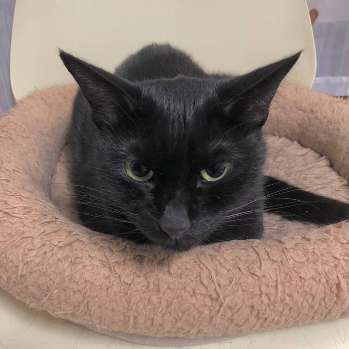 Db8f0417 32b2 488d b2f4 4120b86d24da 1635166127555