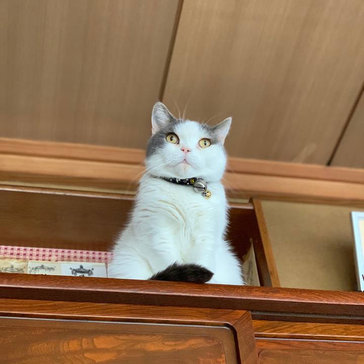 Db8f21c0 b013 4de4 9121 2d69e4db4ad7 1734045789196