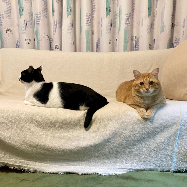 Db8f507b 7c4b 44d7 bf9a 9a8c66a552bf 1765103075766