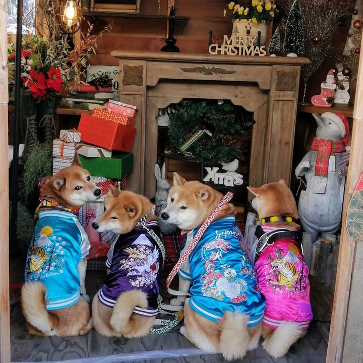 Db8fdde6 173e 47ce 81d1 75e9620470c2 1638101749803