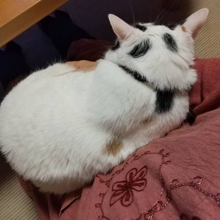 Db900e45 3247 4b13 9066 78543e6e7114 1600075330648