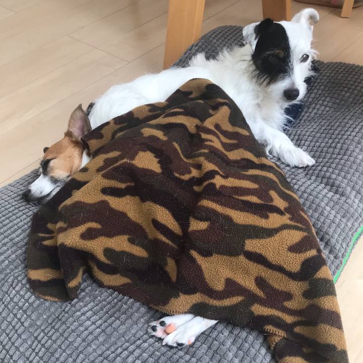 Db90323e 3de4 40d1 b502 ead4a1d5e6c5 1537498317503