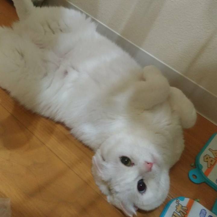 Db905ca5 59d9 4ccf 92e9 3d45f910df5b 1507717034960