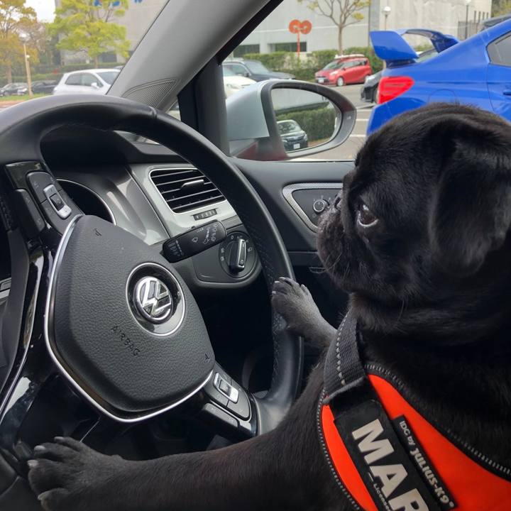 Db906069 09b4 40b4 acaa 032d277d1d55 1617579128853