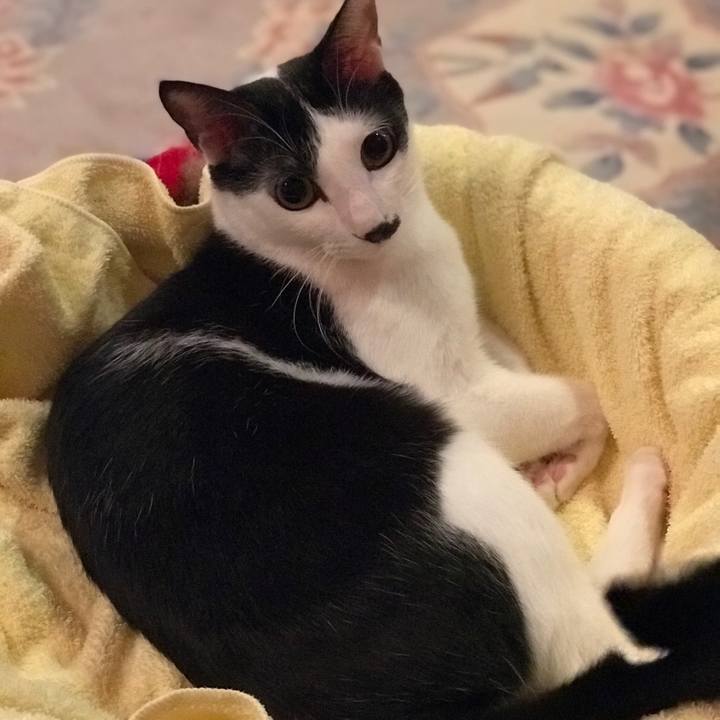 Db90844b 9c9f 4d81 ab64 30ebe89105aa 1544400098286