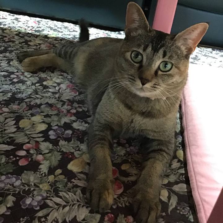 Db90b19a d1e3 4c52 9083 223e352aef86 1591002359001