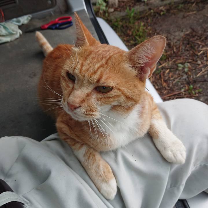 Db90b26a 778f 48e7 bc29 53f0f3d6af3e 1595796619197