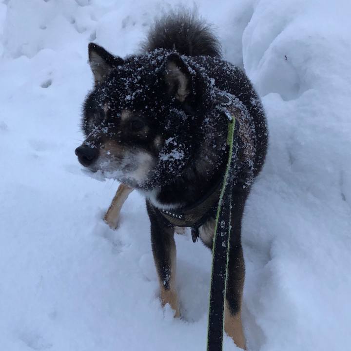 Db90c6b2 ec4b 4a67 97ae aa95d0fc07e8 1520286118223