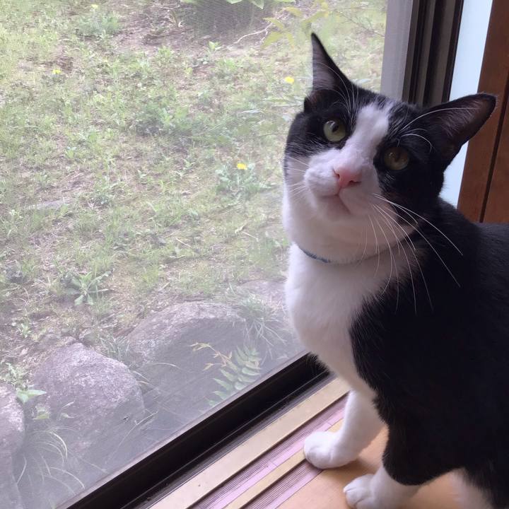 Db912e15 474c 4140 9179 2bf3aae1b65d 1680777612665