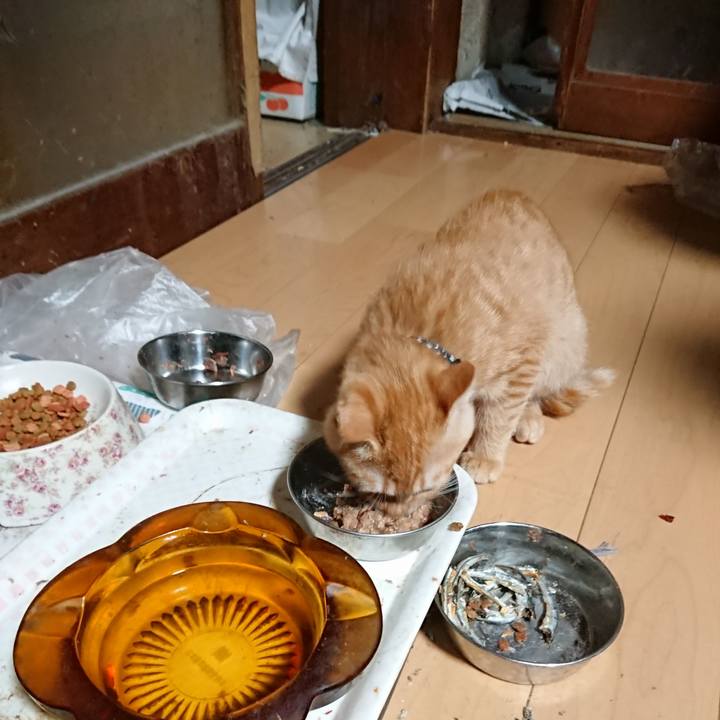 Db914e30 44f1 4a80 bf89 36169750eb01 1634071209485