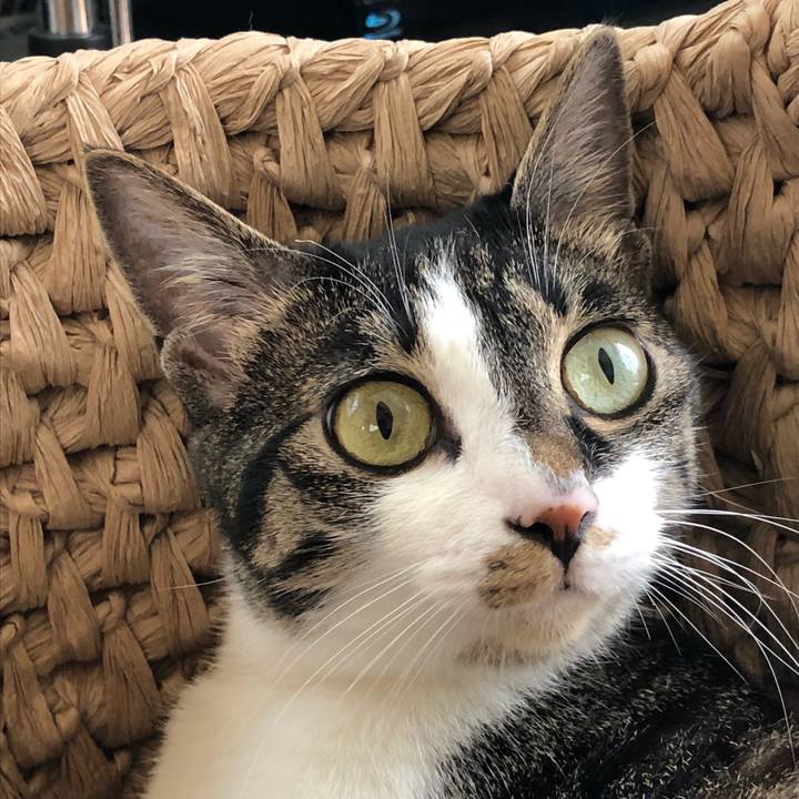 Db9151f1 adbe 48f7 b3ce 61d77e6d90da 1526590433880