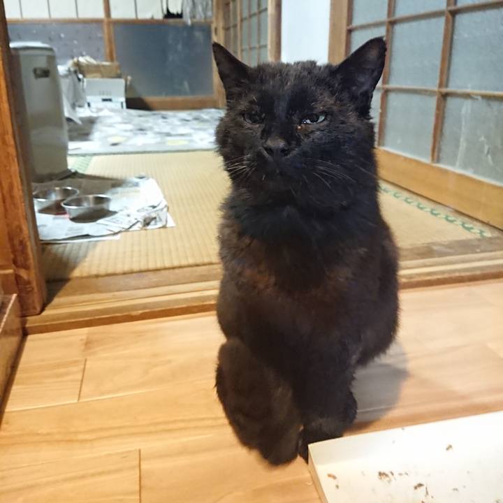 Db9160fa 7601 4925 a3f0 2d3fef06fb40 1621162969837