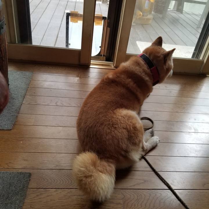 Db916ecd 3e10 4064 99e7 cd0f8a1578b0 1727063968478