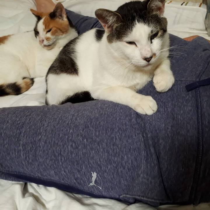 Db91c3fa ecfa 4417 b22c 0921d496e58d 1625842289355