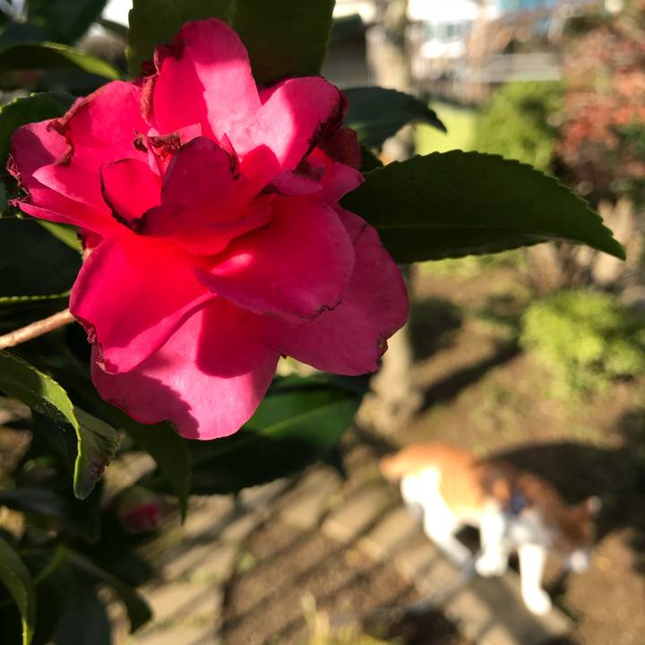 Db91d7bf 0d04 4ad5 bc64 f5a5d264ba1a 1509442626664