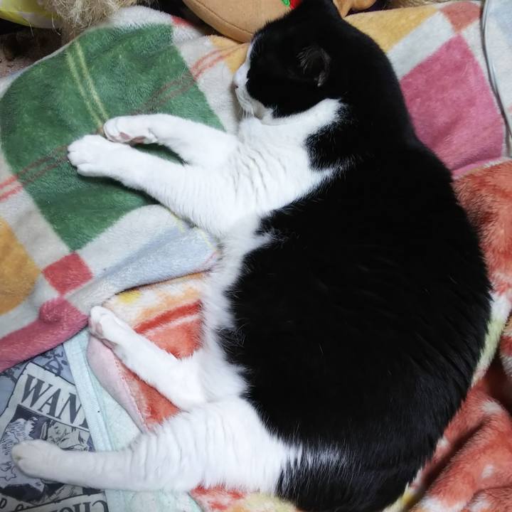 Db91e1da 093b 4b69 93ef 5a9b59faeced 1562466250329