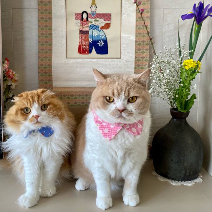 Db922a7b 3102 41cd ba03 2620b6059749 1677817654739